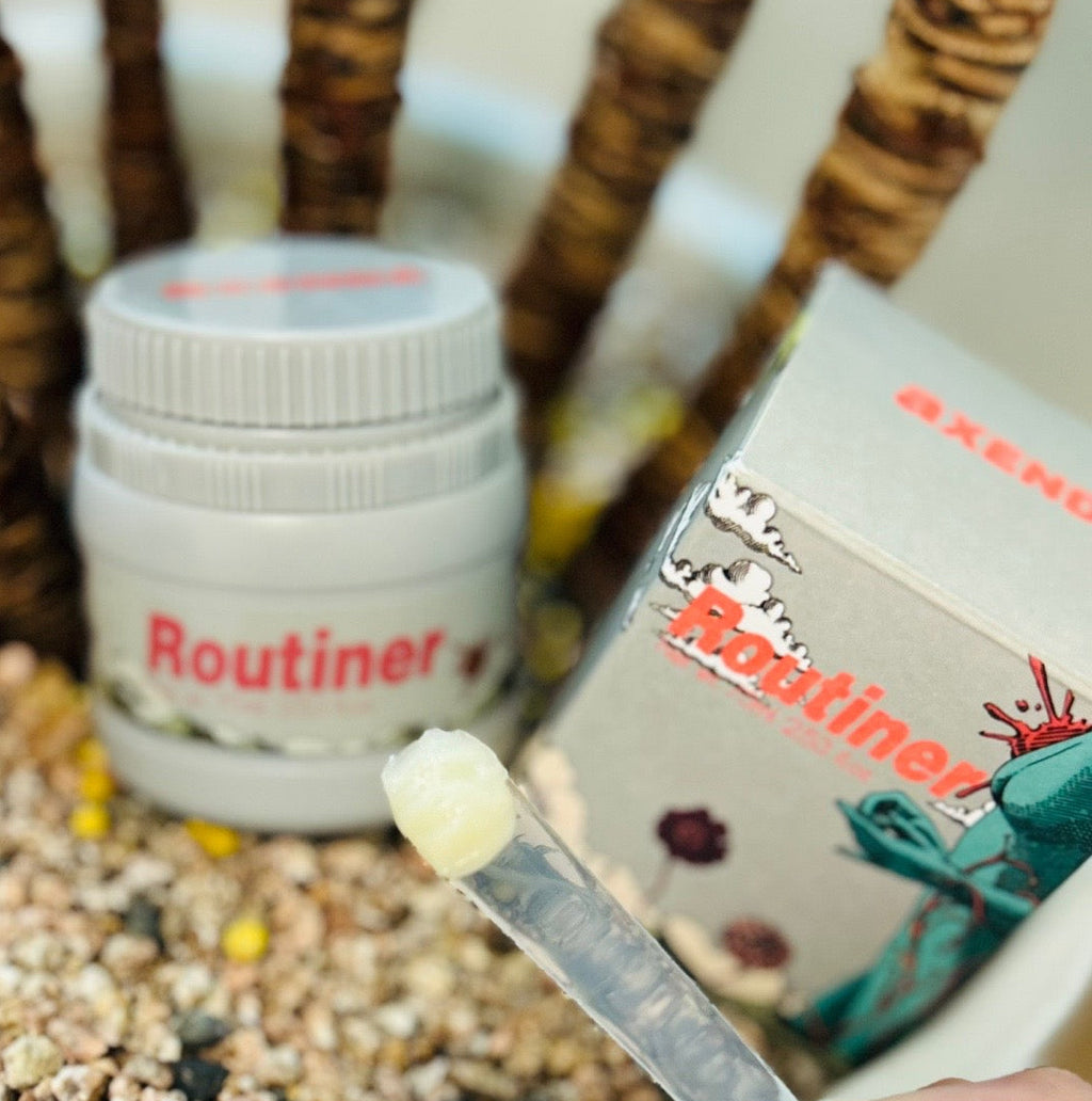 Routiner拋光睡眠面膜15ml