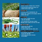 Megapsylium高效膳食纖維
